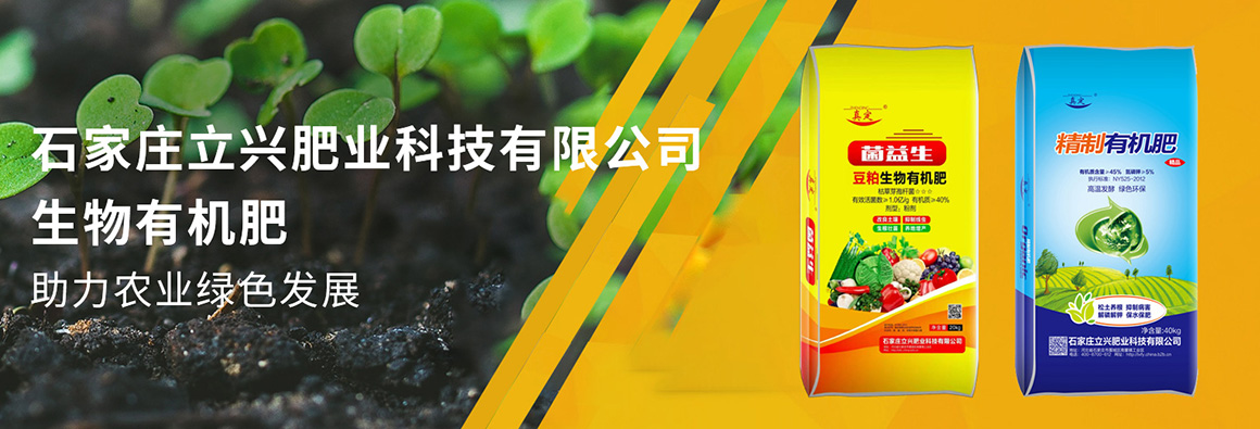 子页面大图广告